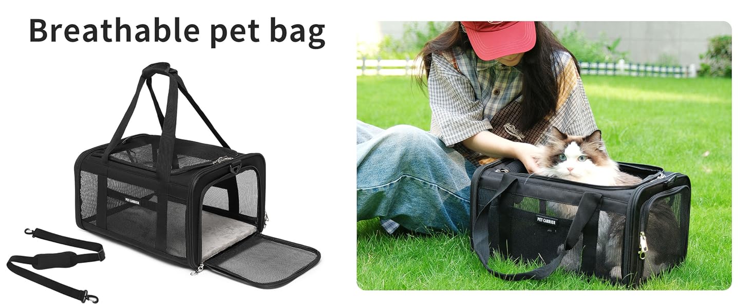 pet backpack carrier