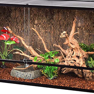 frog terrarium decoration hide