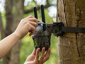 4G trail camera