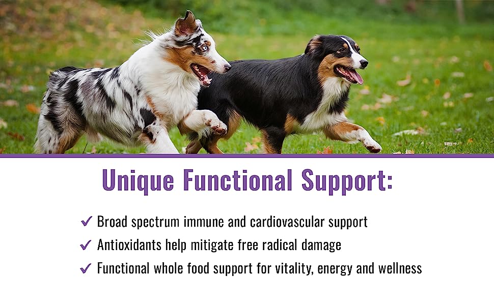 Healthy Pet