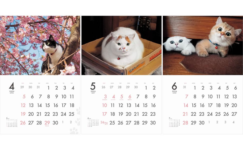 カレンダー2026 MARCO's CAT CALENDAR Comical ! 保護猫チャリティーカレンダー
