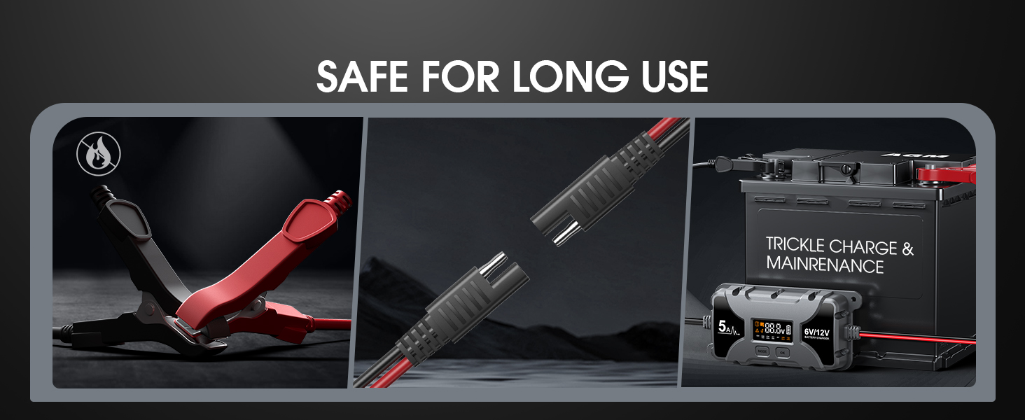 lifepo4 battery charger