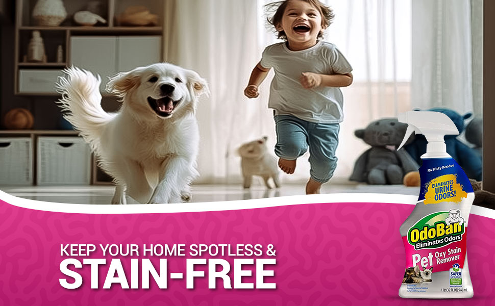 Centaurus AZ Cat and Dog Urine Remover Odoban Pet Oxy