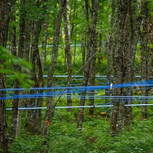 47 north foods single source real pure organic grade a amber very dark maple syrup sugar