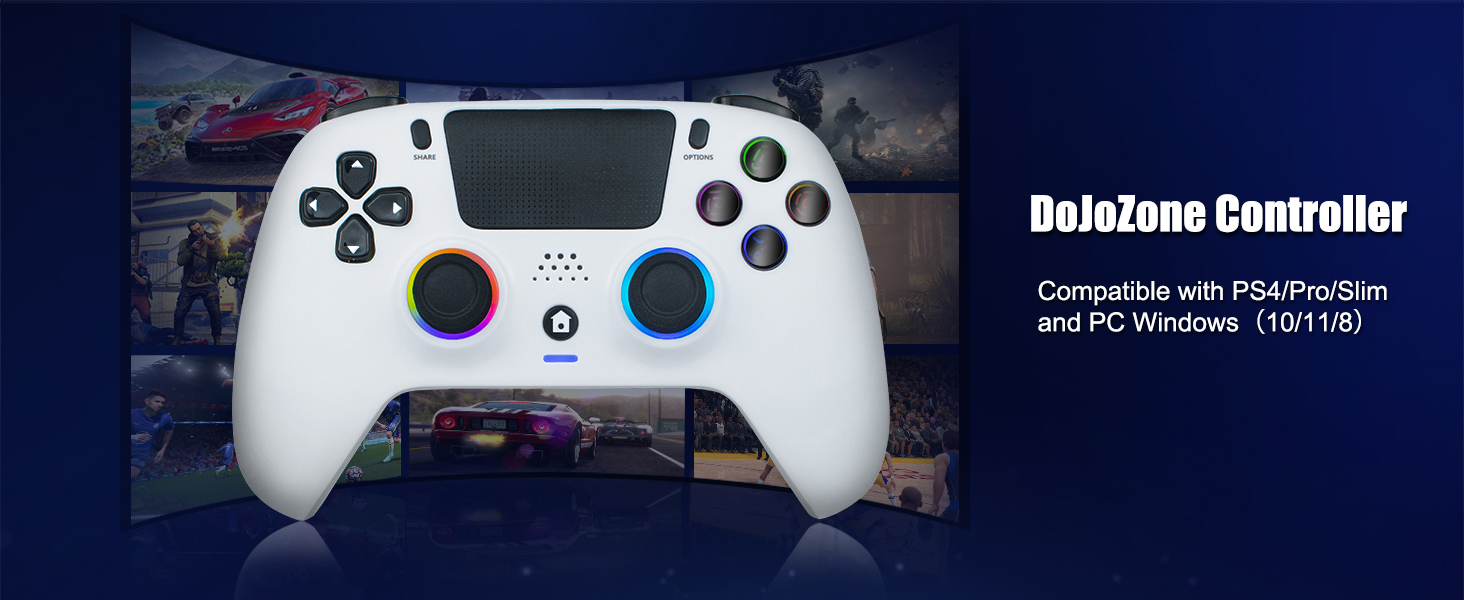 DoJoZone Wireless Controller