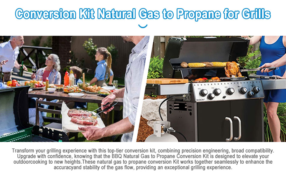 Natural Gas to Propane Conversion Kit for Weber Genesis or Genesis II Grill and for