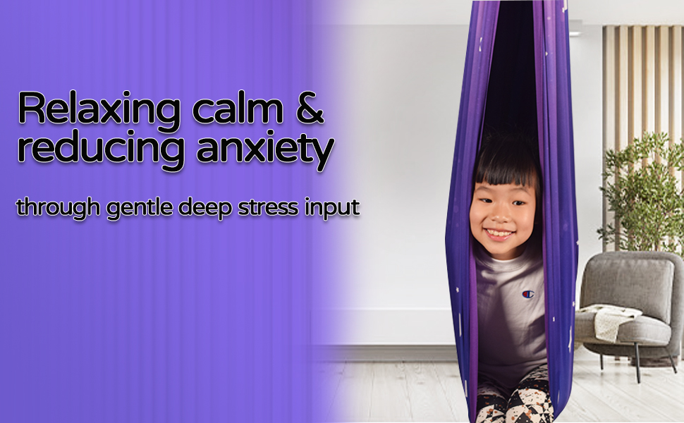 sensory swing purple
