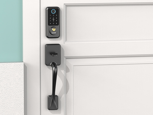 Smart Lock for Back door