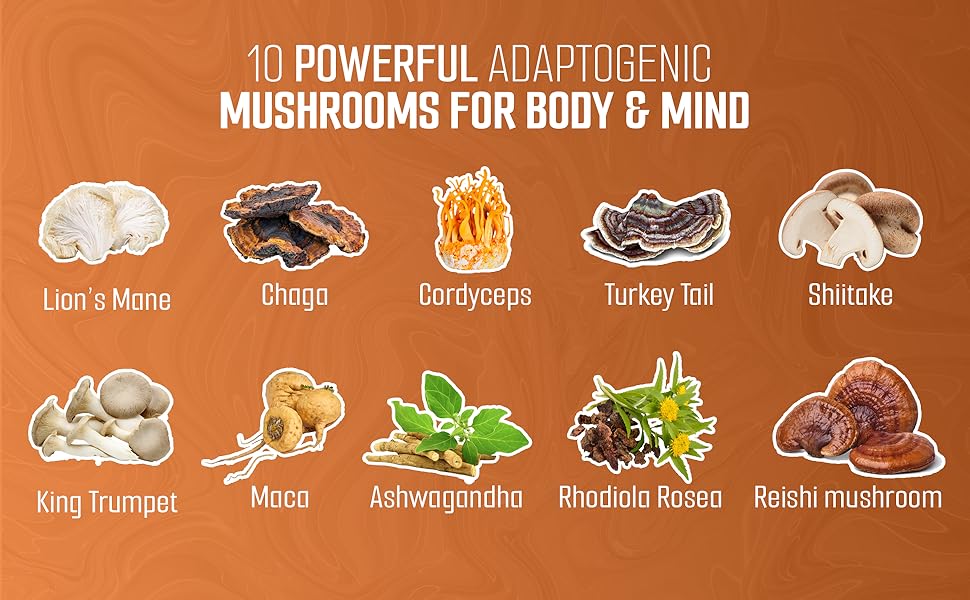 OVIA 10 Mushrooms Coffee