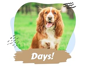 dog vitamins and supplements