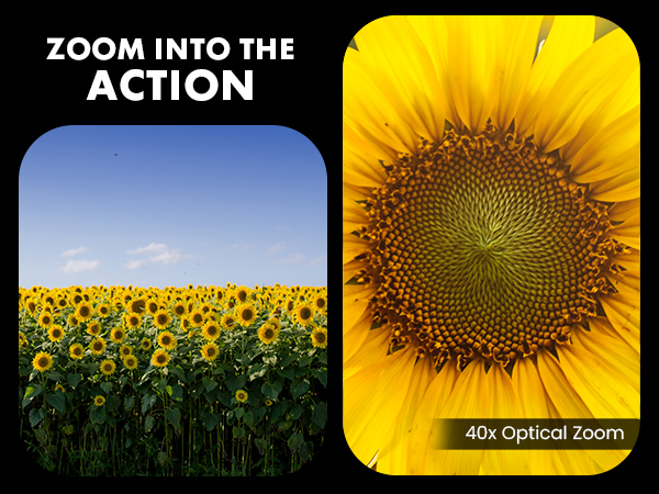 MN40Z 40 Optical Zoom high definition image quality with 20 mega pixel landscape portrait photo