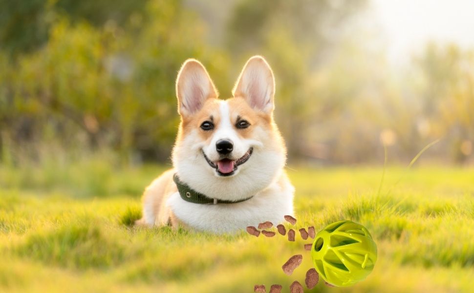 Large manufacture image 7