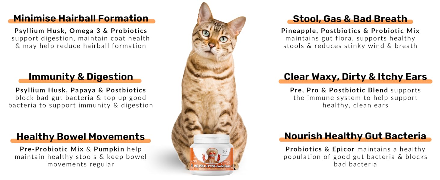 nutripaw pre probiotic treats gut health benefits