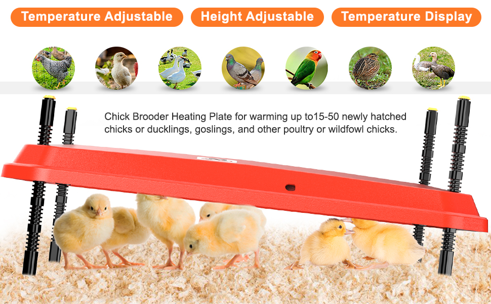 OUYOLAD Chick Brooder Heating Plate 16" x 24", Chicken