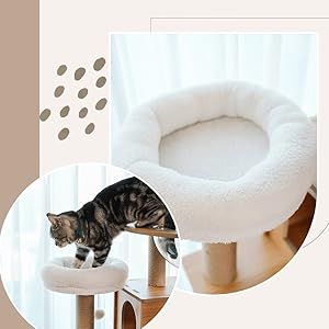 Amazon | アイリスプラザ キャットタワー 据え置き 木登り