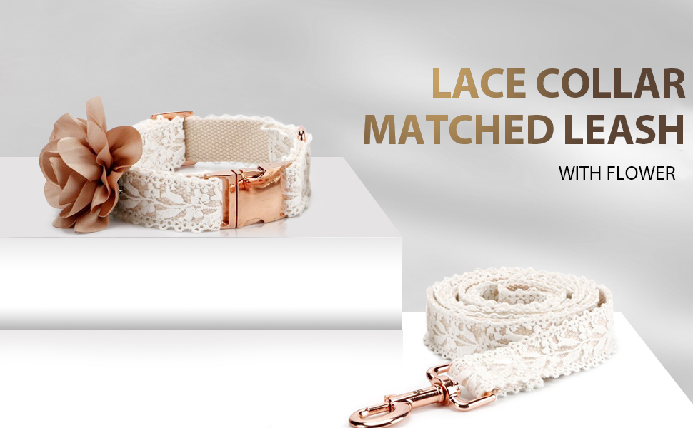 Lace Dog Collar and Leash Set