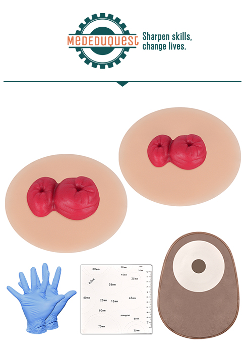 Stoma Training Model