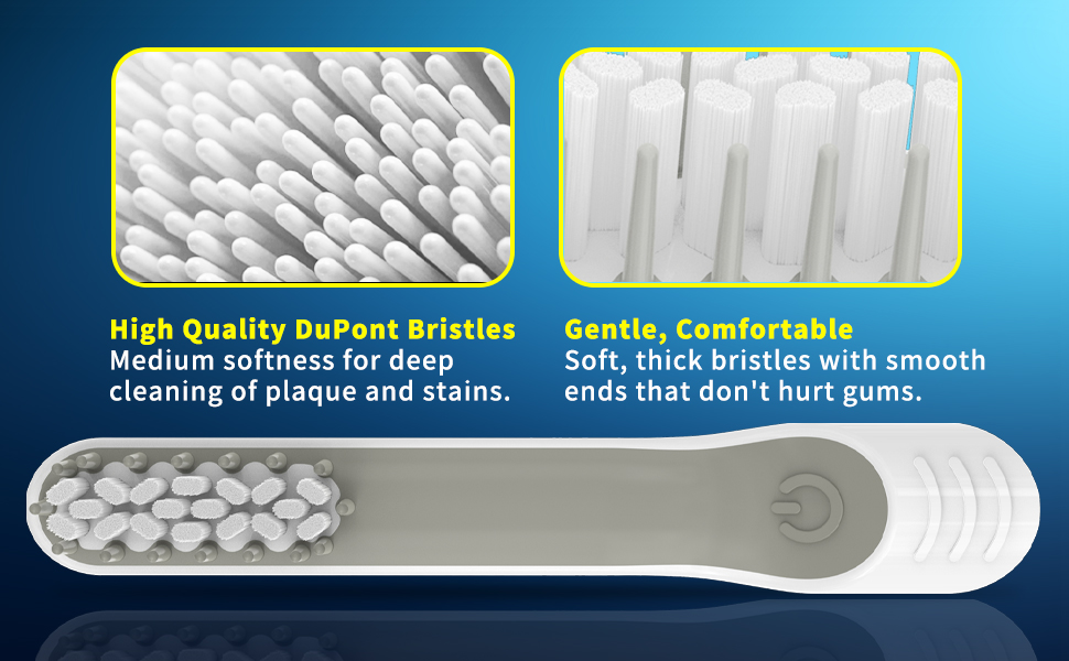 YMPBO Toothbrush Replacement Heads for Quip Electric