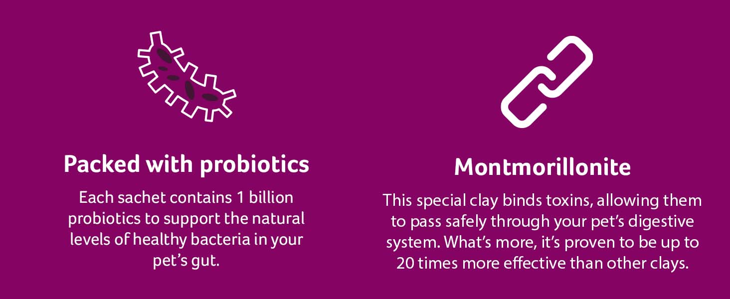 Lintbells YuDIGEST Plus for Dogs Veterinary Strength Fastacting