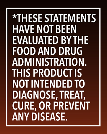 cold pressed black cumin seed oil cold pressed organic black seed oil organic black seeds oil