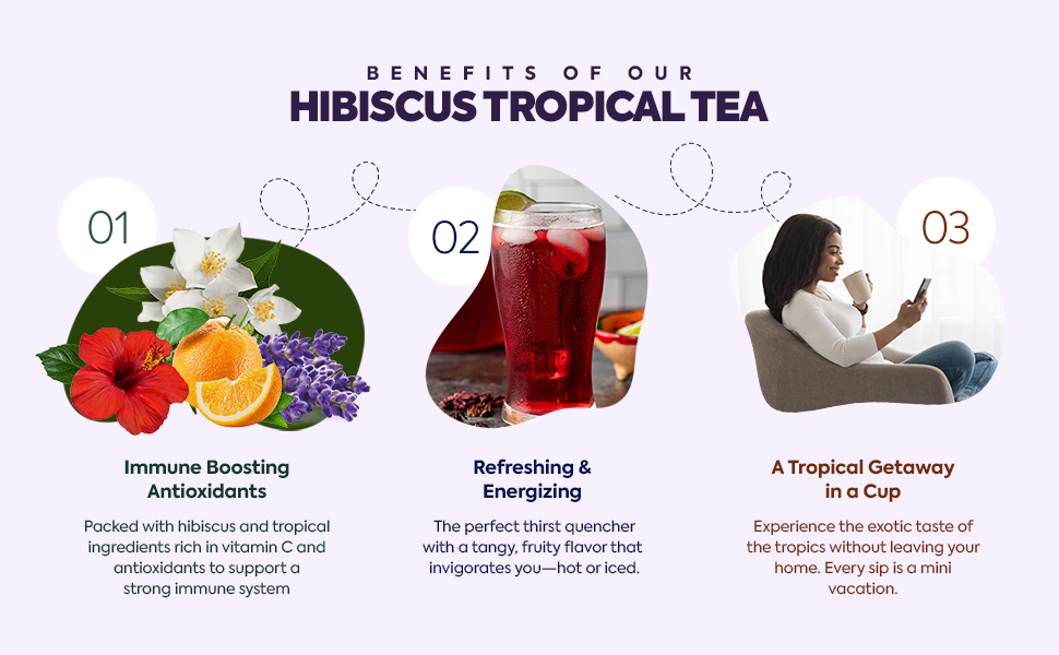 immunity digestion metabolism herbal jamaica best ginger