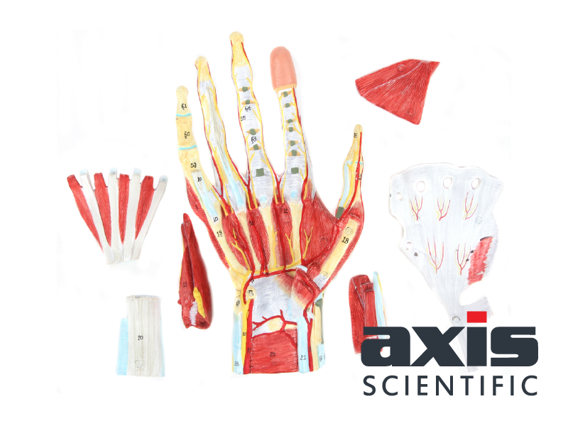 Large manufacture image 2