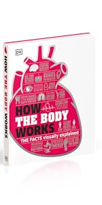 How The Body Works