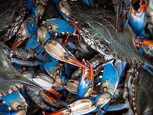 Small manufacture image 4