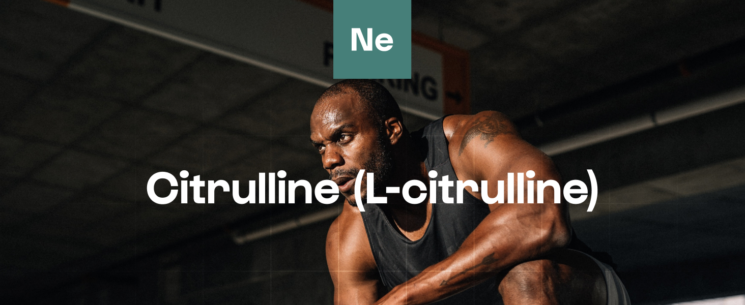nutrimuscle nutrielement complément alimentaire poudre gélule l carnitine tribulus terrestris 