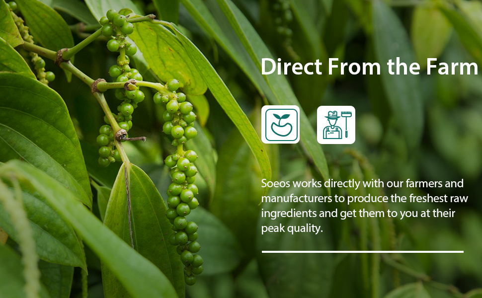 soeos, spices, seasoning, condiments, herbs, natural spices