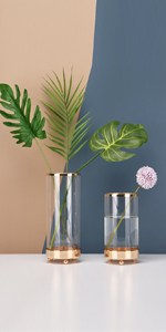 ガラス花瓶 ガラスフラワーベース 筒型 透明 ガラス製 花瓶 水耕栽培 造花 生花 花器 おしゃれ シンプル 多機能 卓上収納ケース 小物収納 ガラスボトルインテリア飾り 店飾り 北欧風