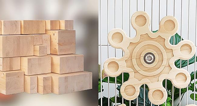 chinchilla toys for playtime