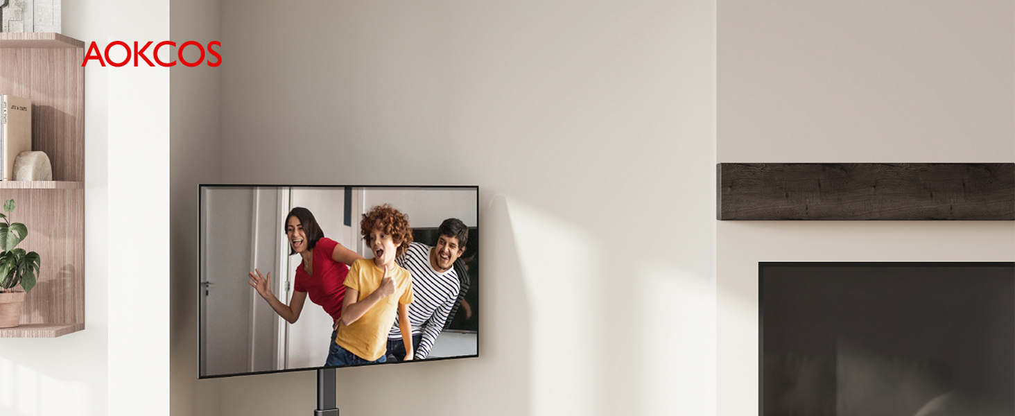 电视支架 移动式