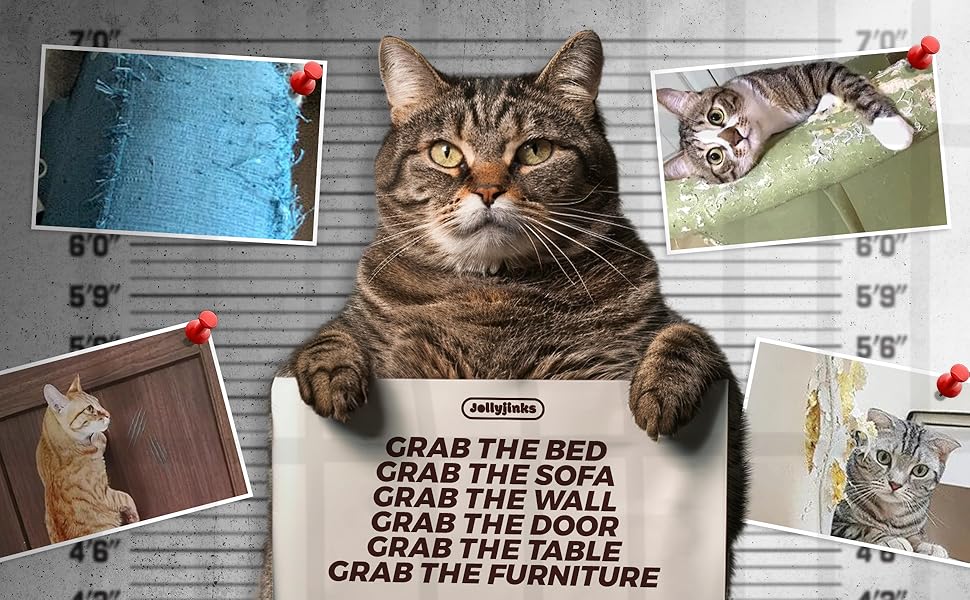 JOLLYJINKS 10 Pack AntiScratching Furniture Protector from Cat Claws Single