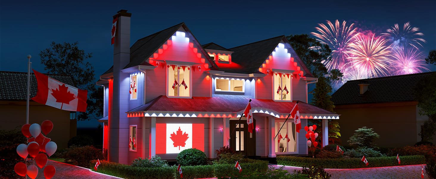 permanent outdoor lights