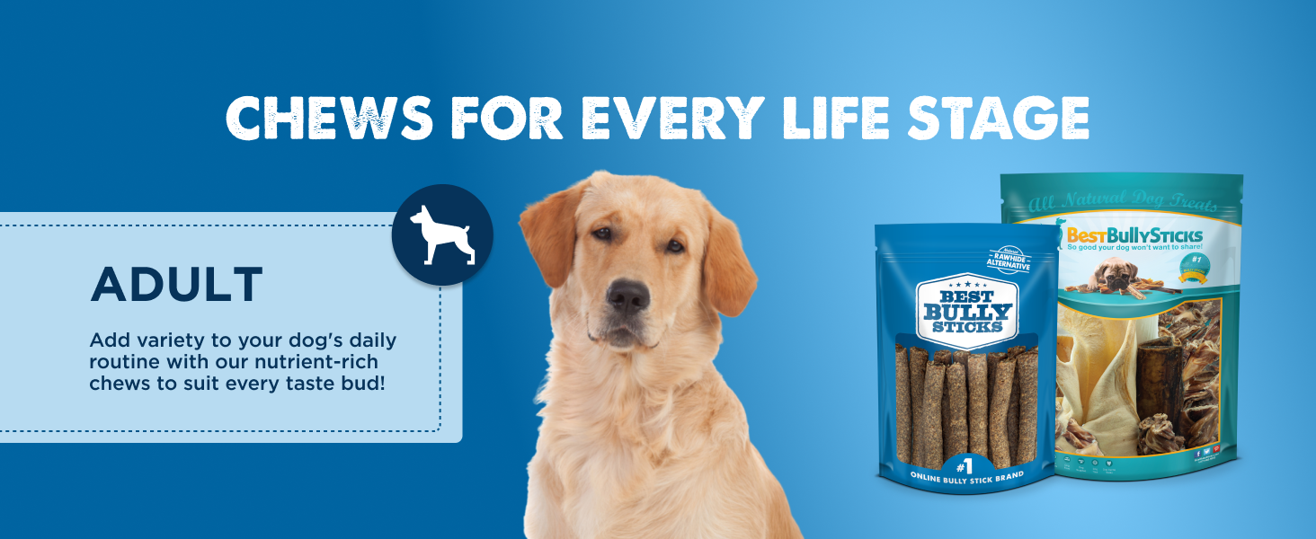 Best Bully Sticks 4 Inch Bully Sticks for Dogs 100