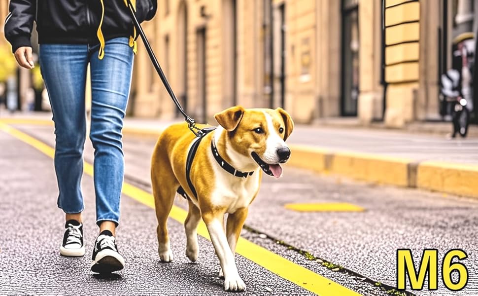 カラビナ ステンレス