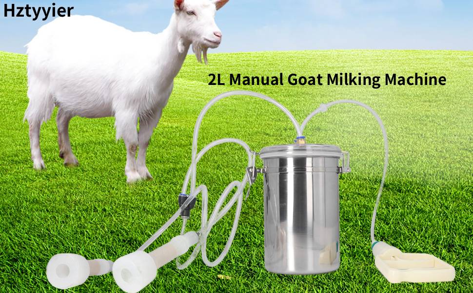 【nabe190様用】MILKING THE GOATMACHINE/ Goat Sale! 1 Goat Interpuls ITP205 SS bucket milker - Hamby Dairy
