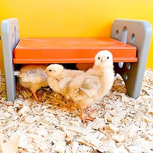 Small manufacture image 2