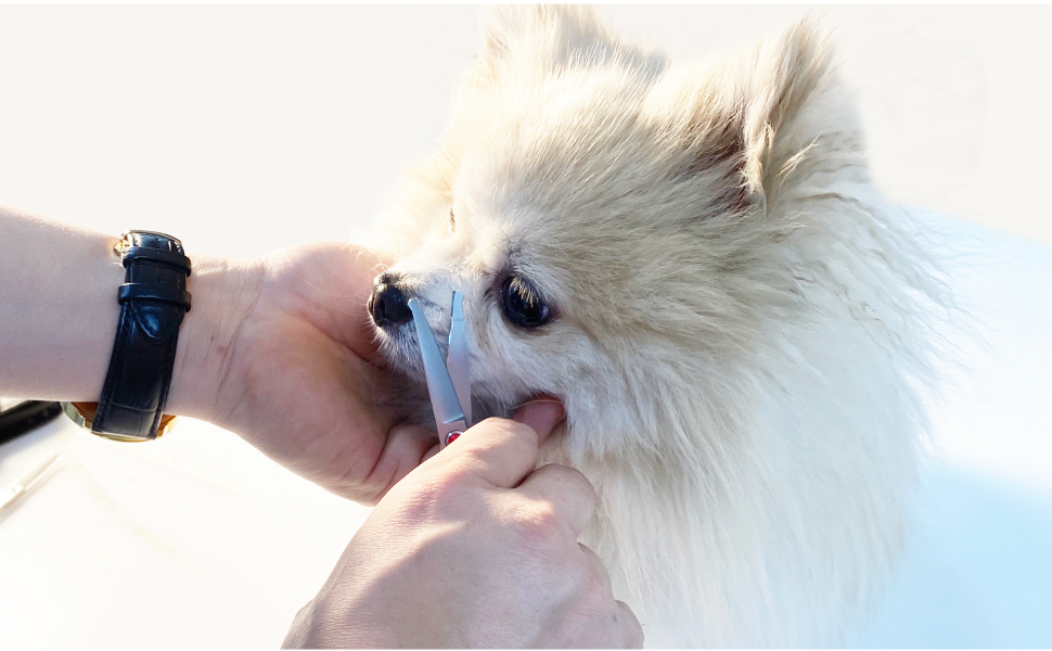 Large manufacture image 6