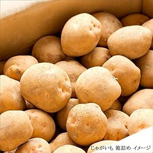 Amazon.co.jp: 北海道産 訳あり じゃがいも 10kg (品種お任せ