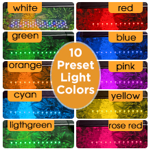 light for fish tank