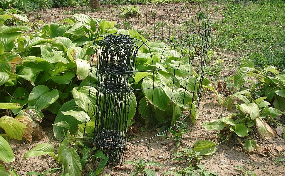 Green Garden Border Edging Folding Fence Roll 14" x20' Scroll Top