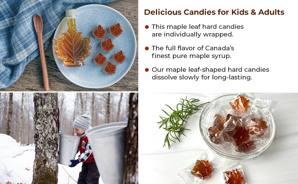 Turkey Hill Sugarbush 100 Pure Canadian Premium Maple