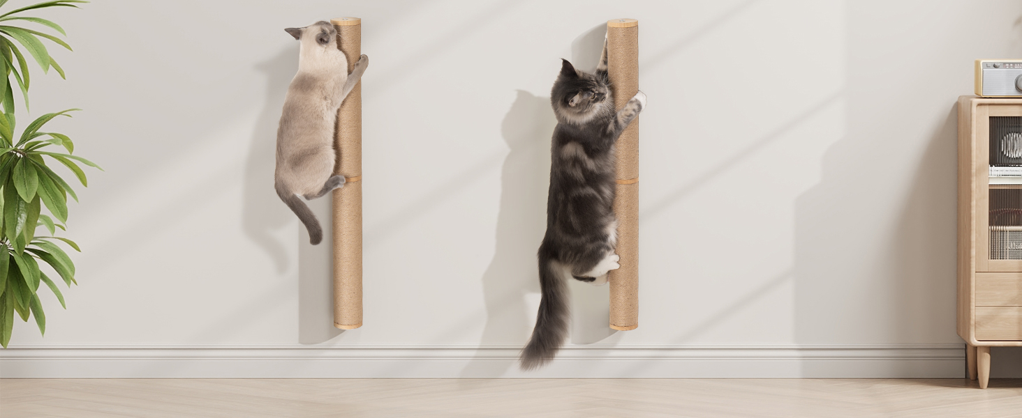 climbing stretching scratching