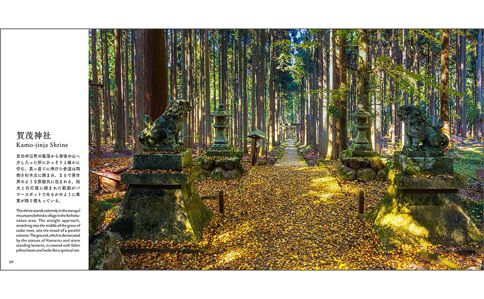 京都の意匠 紅葉 | 水野 克比古, 水野 秀比古 |本 | 通販 | Amazon