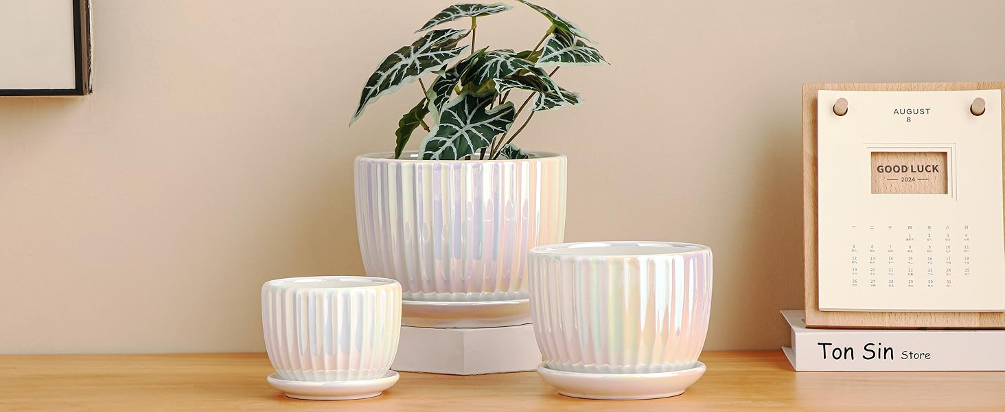 Pearl Gold Flower Pots