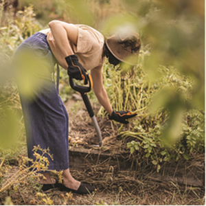 Grow deeper connections