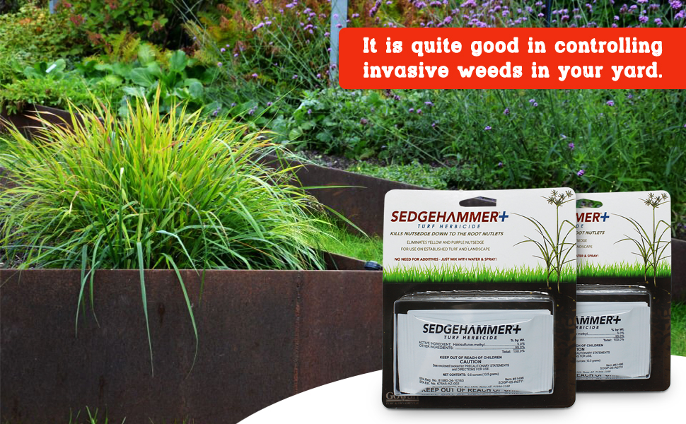 Turf Herbicide SEDGEHAMMERKills Nutsedge Down to The Root