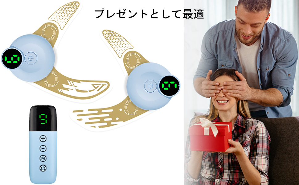 大陸モモンガ フェイス＆ボディ全身対応型 美容器 アイエスト3000EMS 大陸モモンガ フェイス＆ボディ全身対応型 美容器 アイエスト